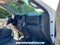 2024 Chevrolet Silverado 3500 HD Chassis Cab Work Truck