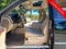 2009 Chevrolet Tahoe LTZ