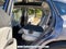 2020 Acura RDX w/Advance Pkg